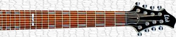 8-String Guitar Fretboard