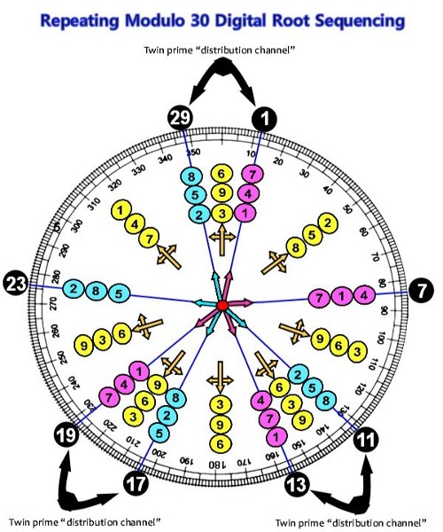 Modulo 30 Radial 
	Sequencing of Digital Roots